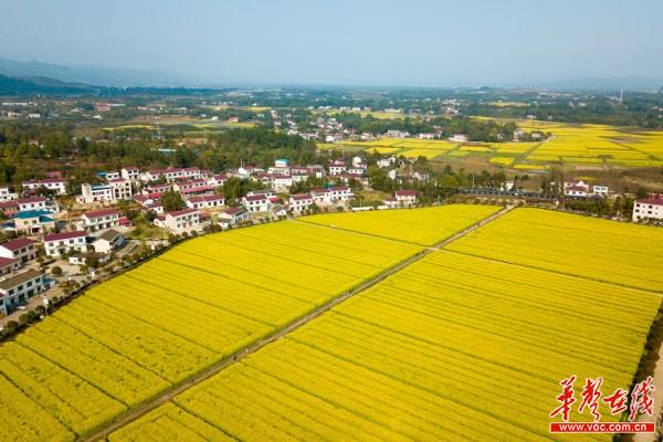 浏阳市古港镇：秋季研学热节节攀升，梅田湖研学基地形势喜人2.jpg