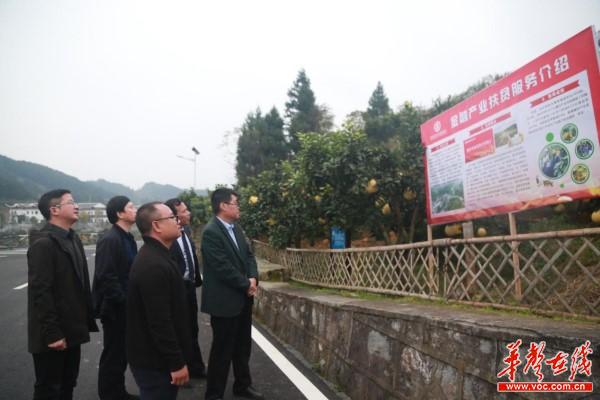 肖继辉行长调研指导3.jpg
