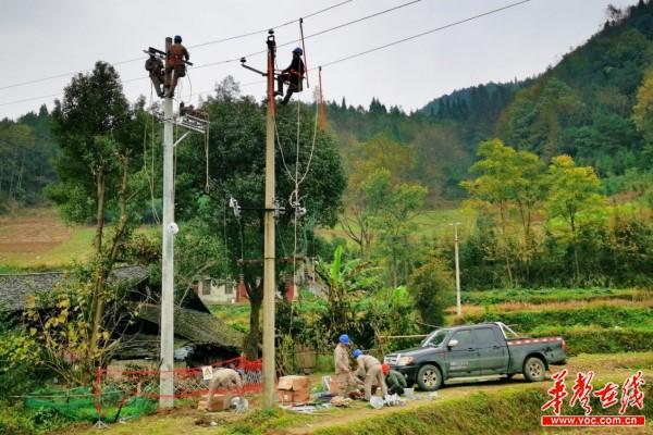 国网供电公司洪江区公司 奋战高跳线路，践行初心使命1.jpg