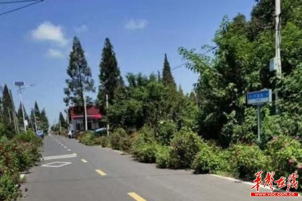 11.26益阳市大通湖区住建局一省级贫困村迈入小康村1.jpg