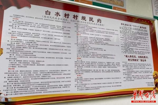 浏阳沙市镇“镇、村、网格”三级联动，大力推进移风易俗2.jpg