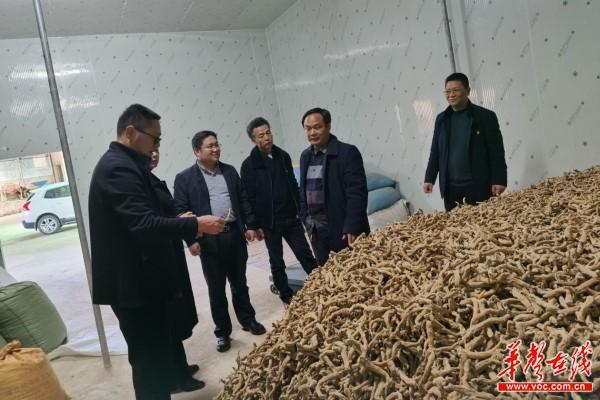 2.23谢疆：建立中药材产业专家工作站 助力乡村振兴1.jpg