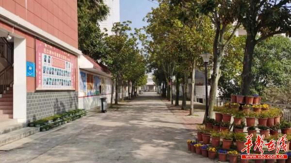 常德市安乡县出口洲中学：今春开学别样牛1.jpg