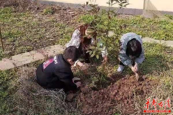 安乡县安丰乡中心幼儿园：我和小苗同成长2.jpg