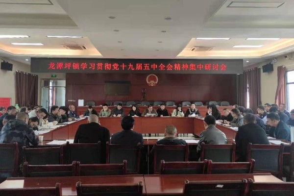 331龙潭坪镇组织召开学习贯彻党的十九届五中全会精神集中研讨会1.jpg
