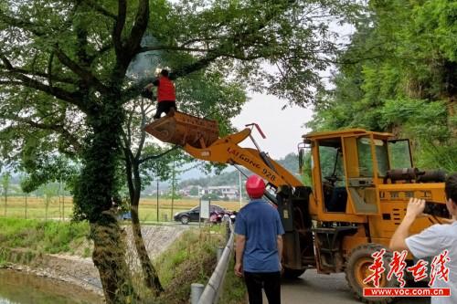 5浏阳葛家镇：为群众办实事从“清洁家园” 开始.13.jpg