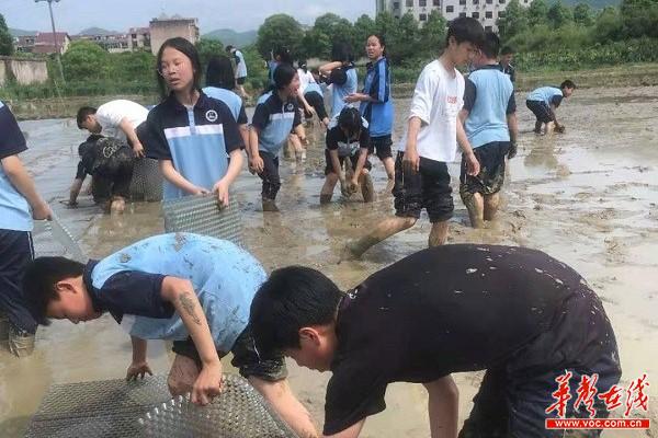 5高坪中学劳动新闻(1)3.jpg
