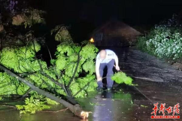我为群众办实事：风雨夜断枝堵路 交警清障保畅通.jpg
