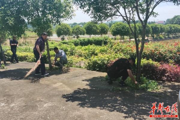 浏阳沙市镇多措并举大力推进城乡环境整治行动1.jpg