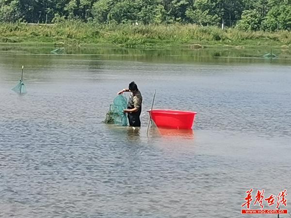 图片1.jpg