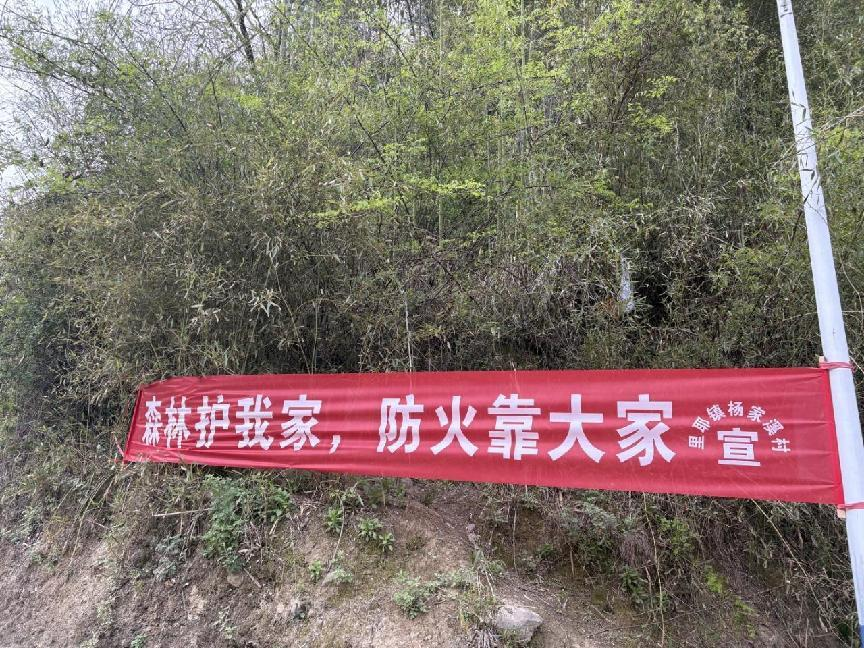图片10.png